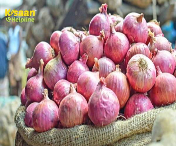 सरकार 2021-22 में भंडारण के लिए 2 लाख टन प्याज खरीदने की बना रही है योजना